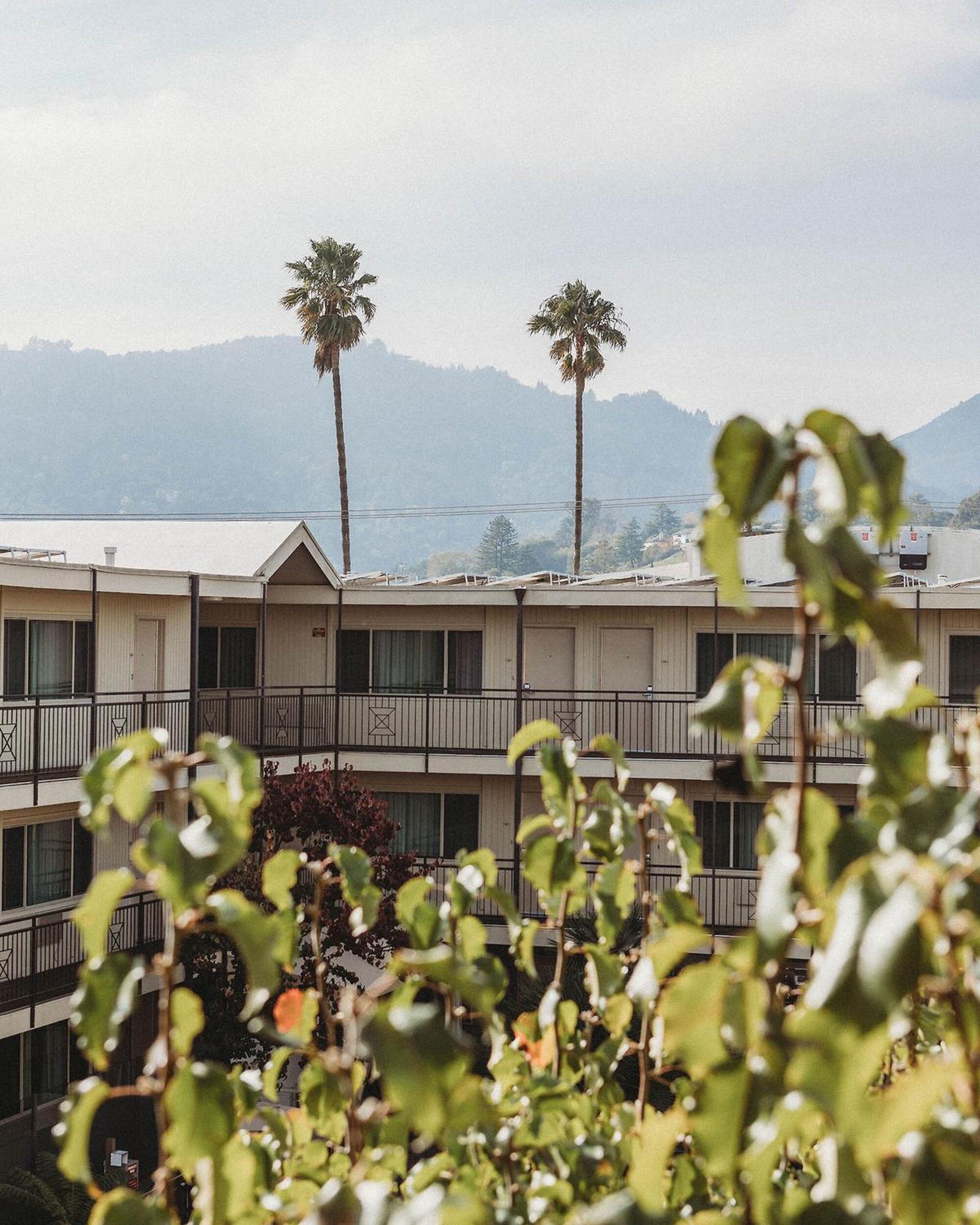 Marin Suites Hotel Corte Madera Luaran gambar